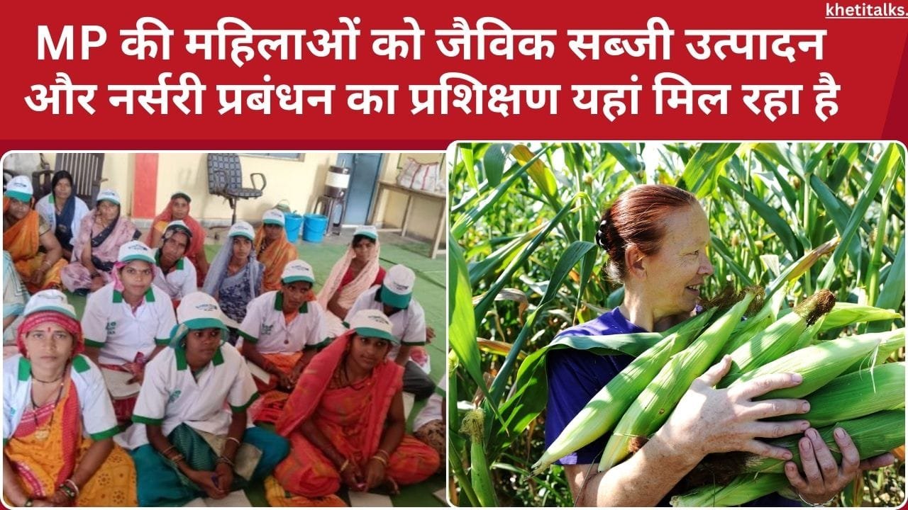 जैविक सब्जी उत्पादन और नर्सरी प्रबंधन का प्रशिक्षण