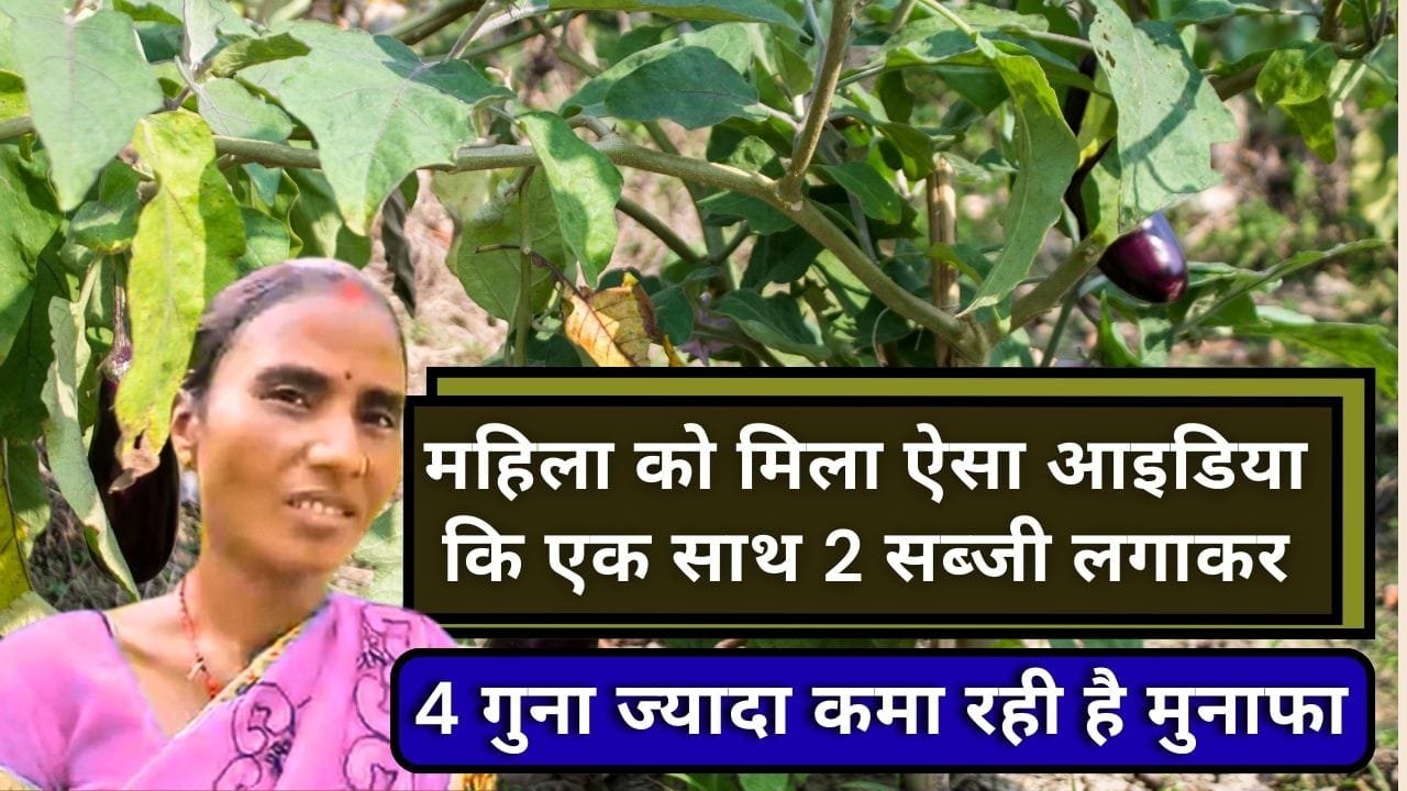 ये 2 सब्जियां एक साथ लगाई जाती हैं