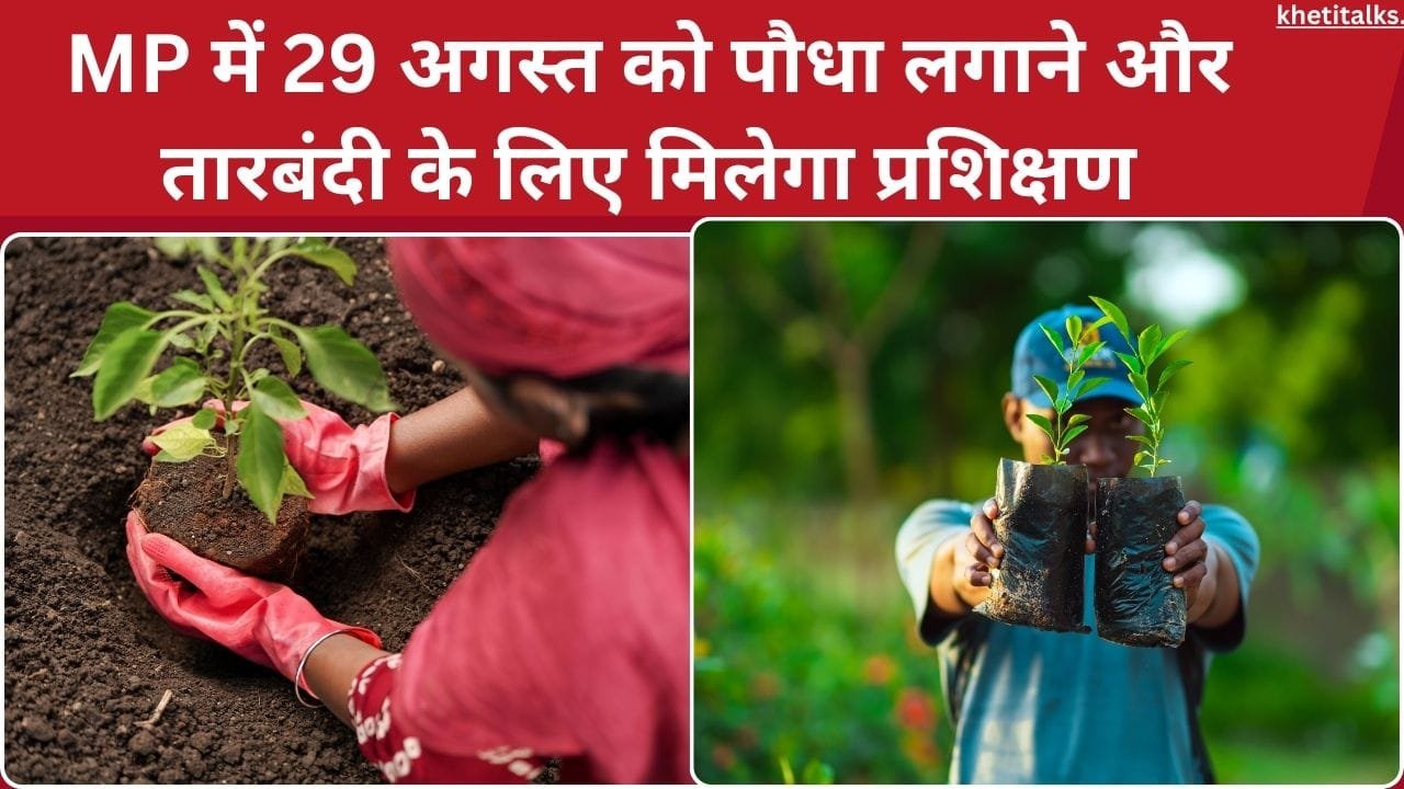 पौधा लगाने और तारबंदी के लिए मिलेगा प्रशिक्षण