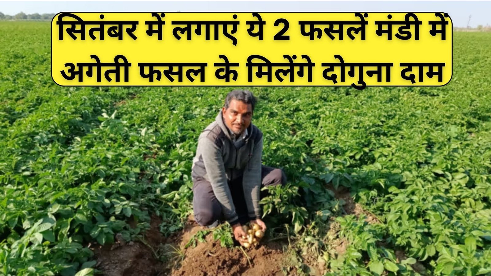 सितंबर में लगाएं ये 2 फसलें, मंडी में अगेती फसल के मिलेंगे दोगुना दाम किसानों की हो जाएगी मौज, जानिए नाम