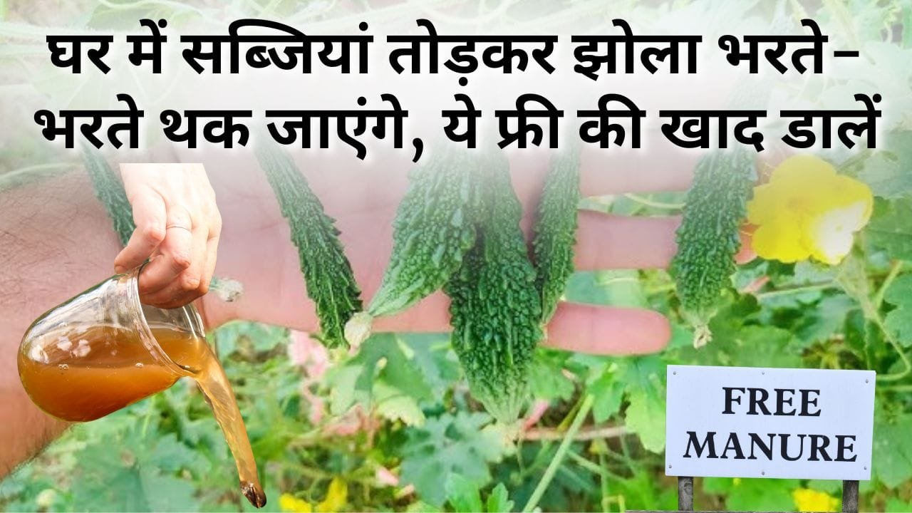 फ्री में घरेलू खाद कैसे बनाएं