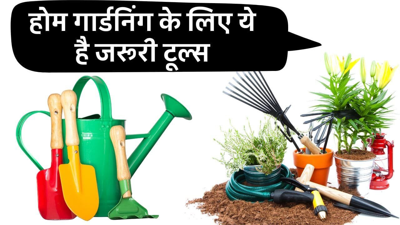 होम गार्डनिंग के लिए जरूरी टूल्स