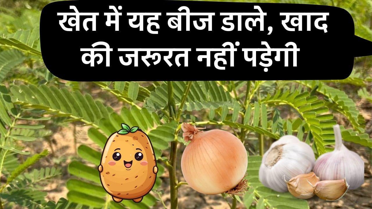 जैविक खाद