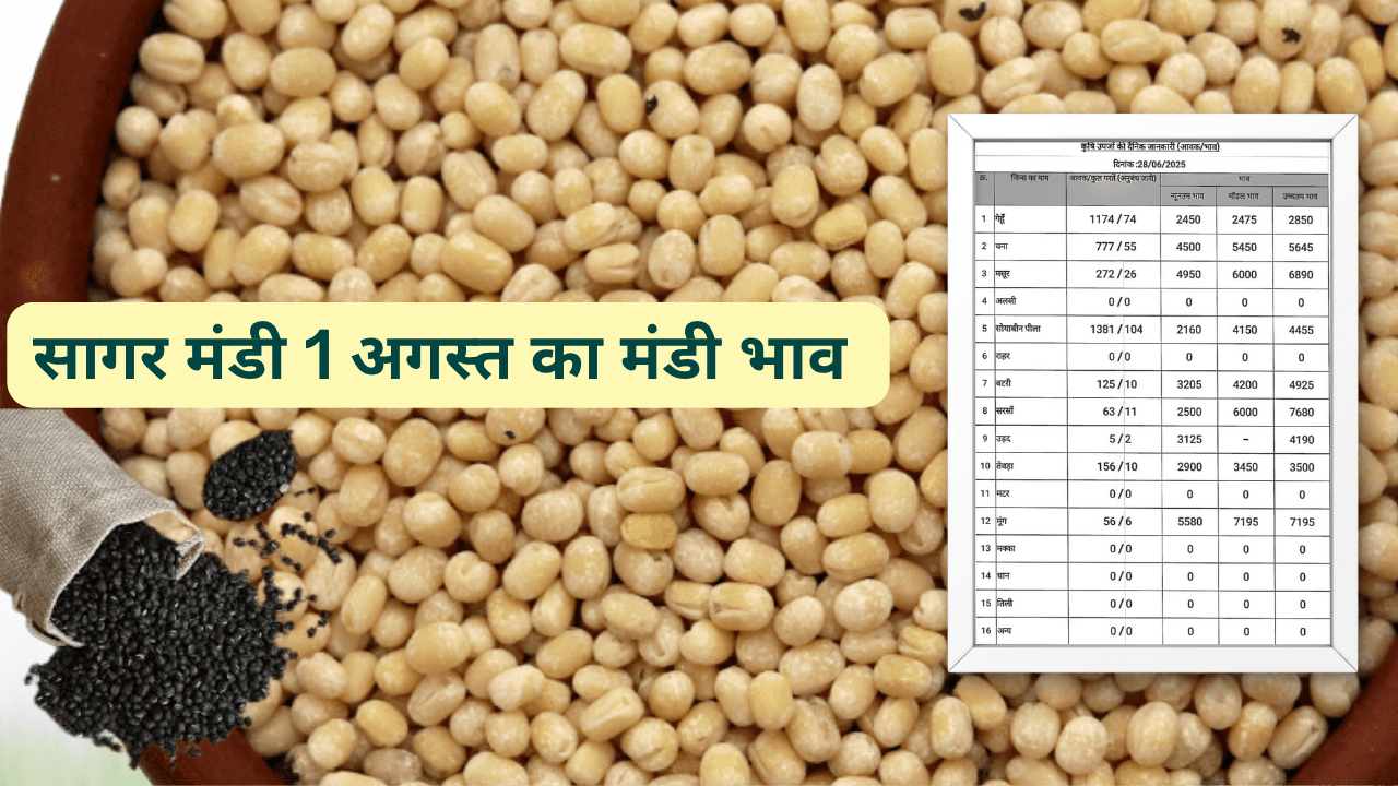 सागर मंडी