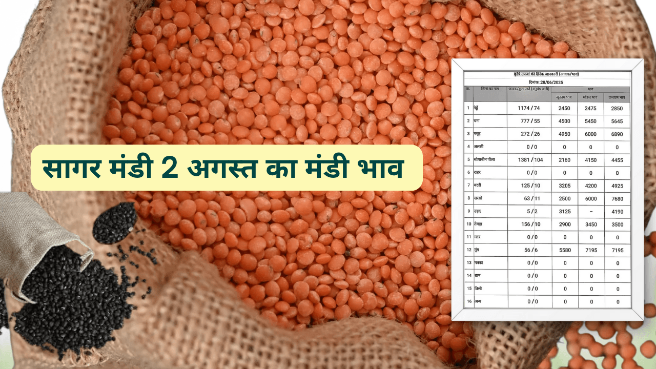 सागर मंडी