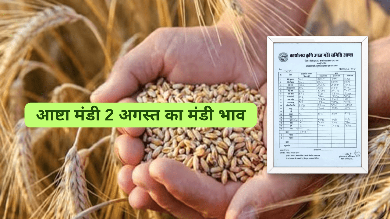 आष्टा मंडी