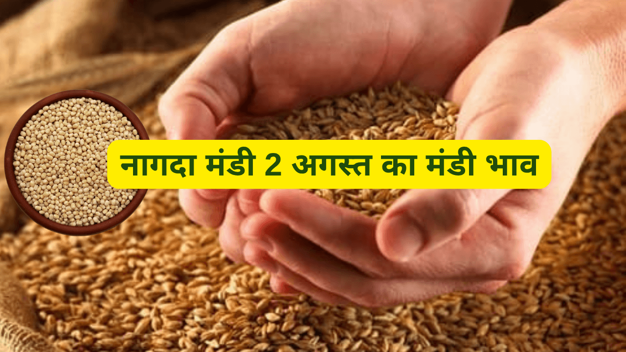 नागदा मंडी