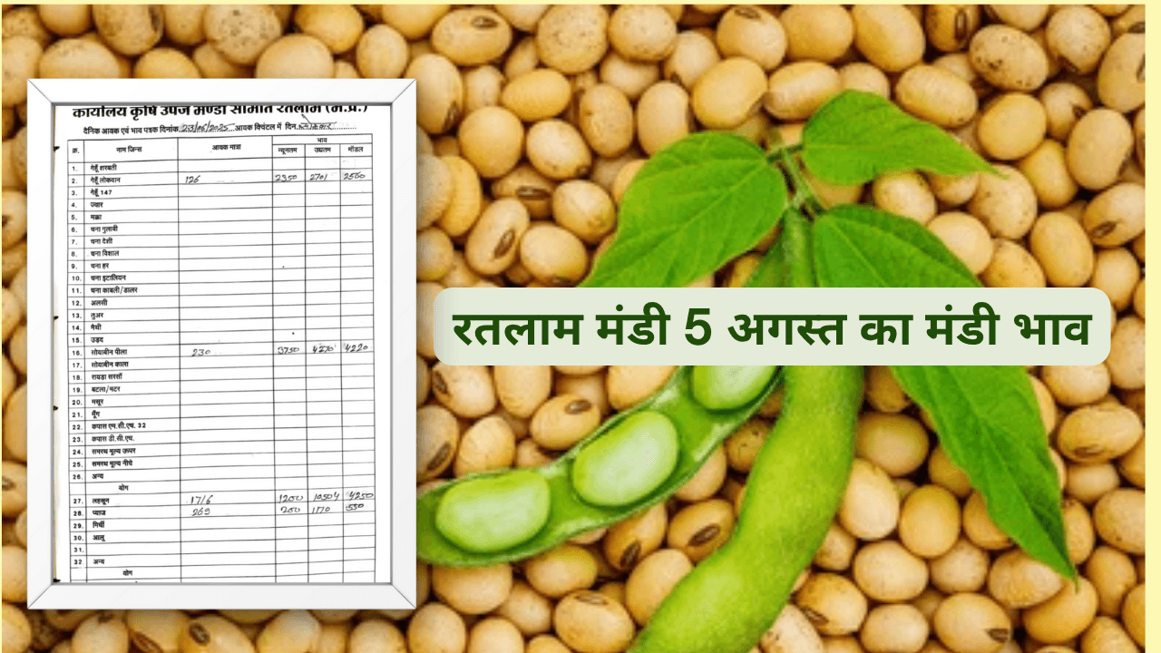 रतलाम मंडी