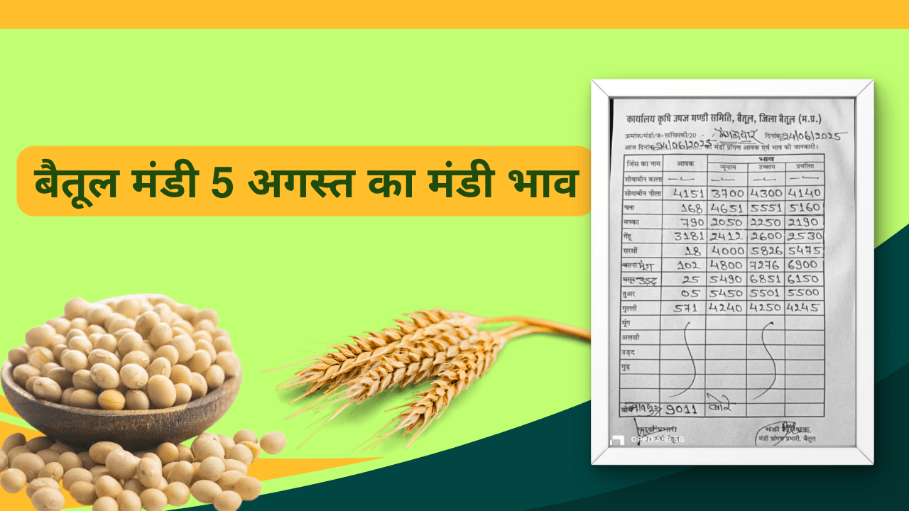 बैतूल मंडी