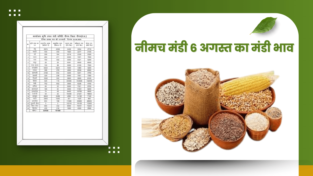 नीमच मंडी