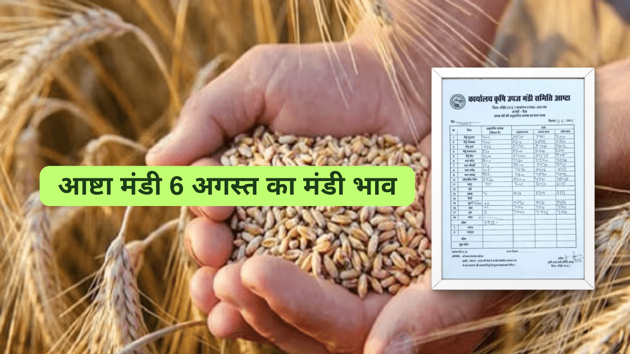 आष्टा मंडी