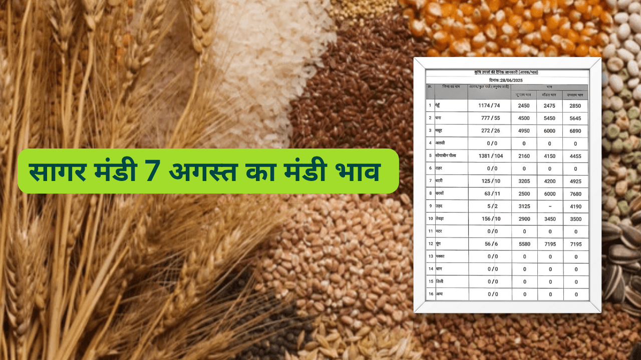 सागर मंडी