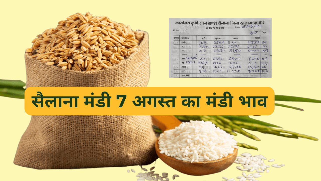 सैलाना मंडी