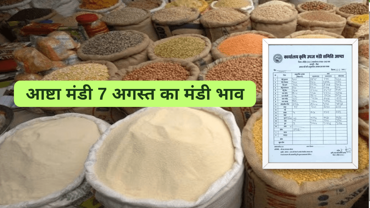 आष्टा मंडी