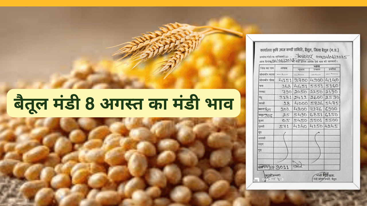 बैतूल मंडी