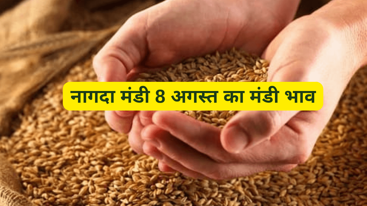 नागदा मंडी