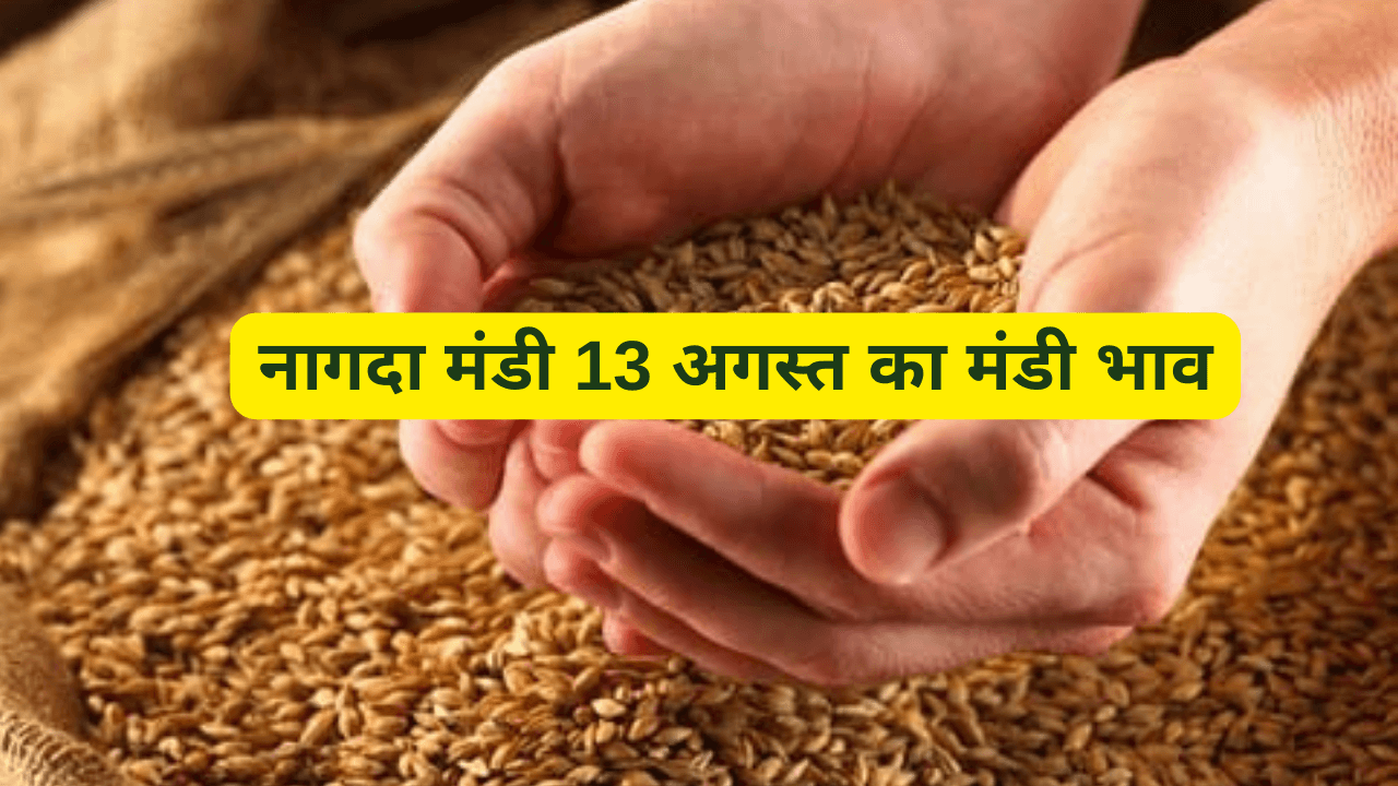 नागदा मंडी