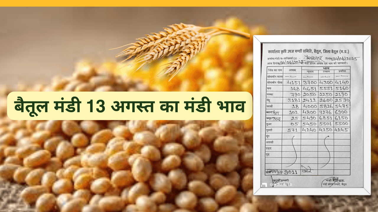 बैतूल मंडी