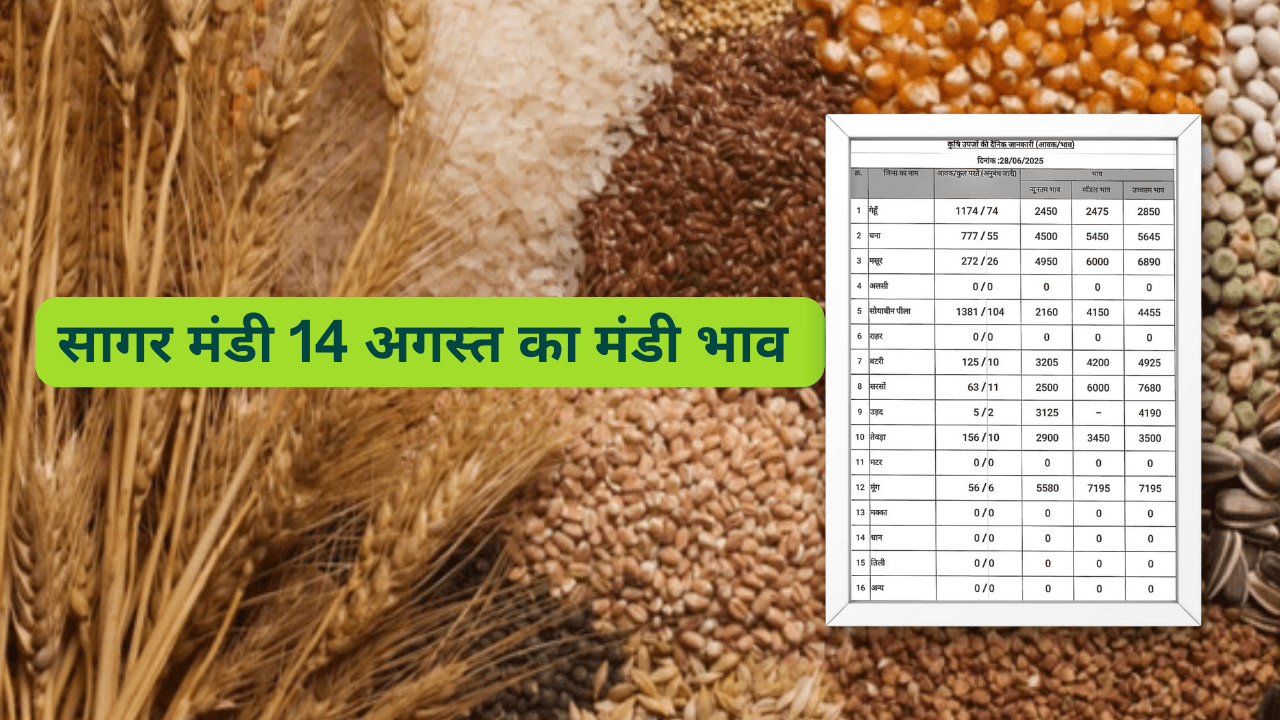 सागर मंडी