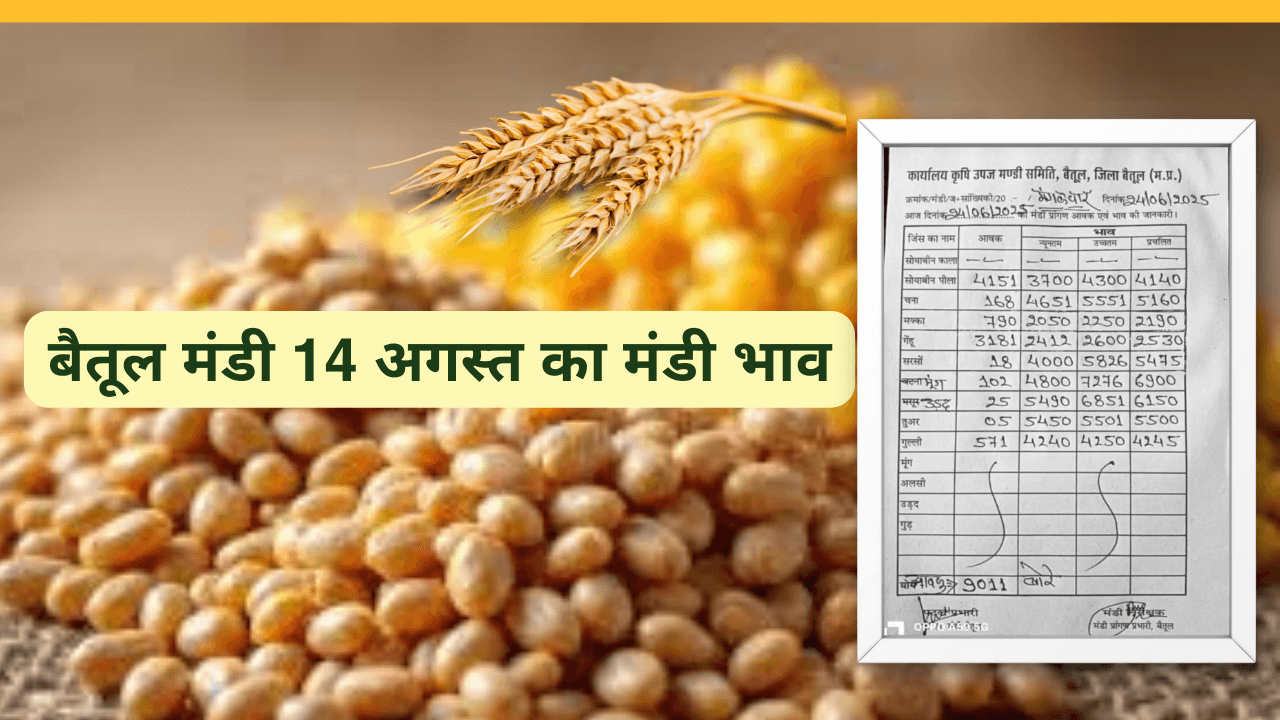 बैतूल मंडी