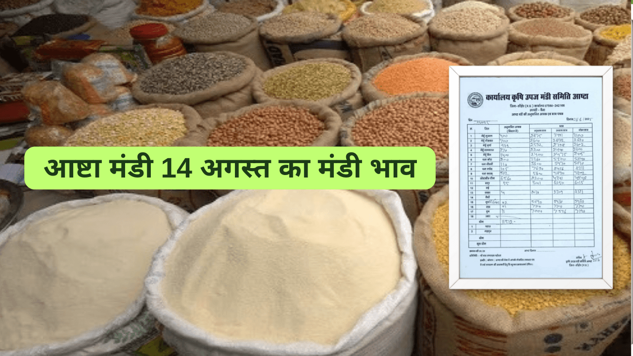 आष्टा मंडी