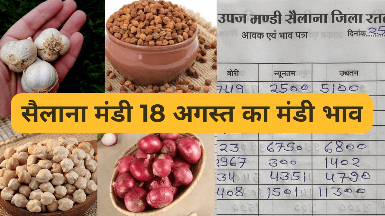 सैलाना मंडी