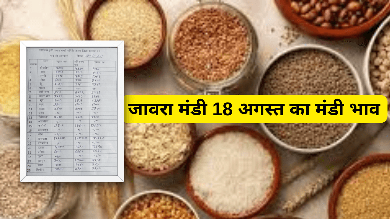 जावरा मंडी