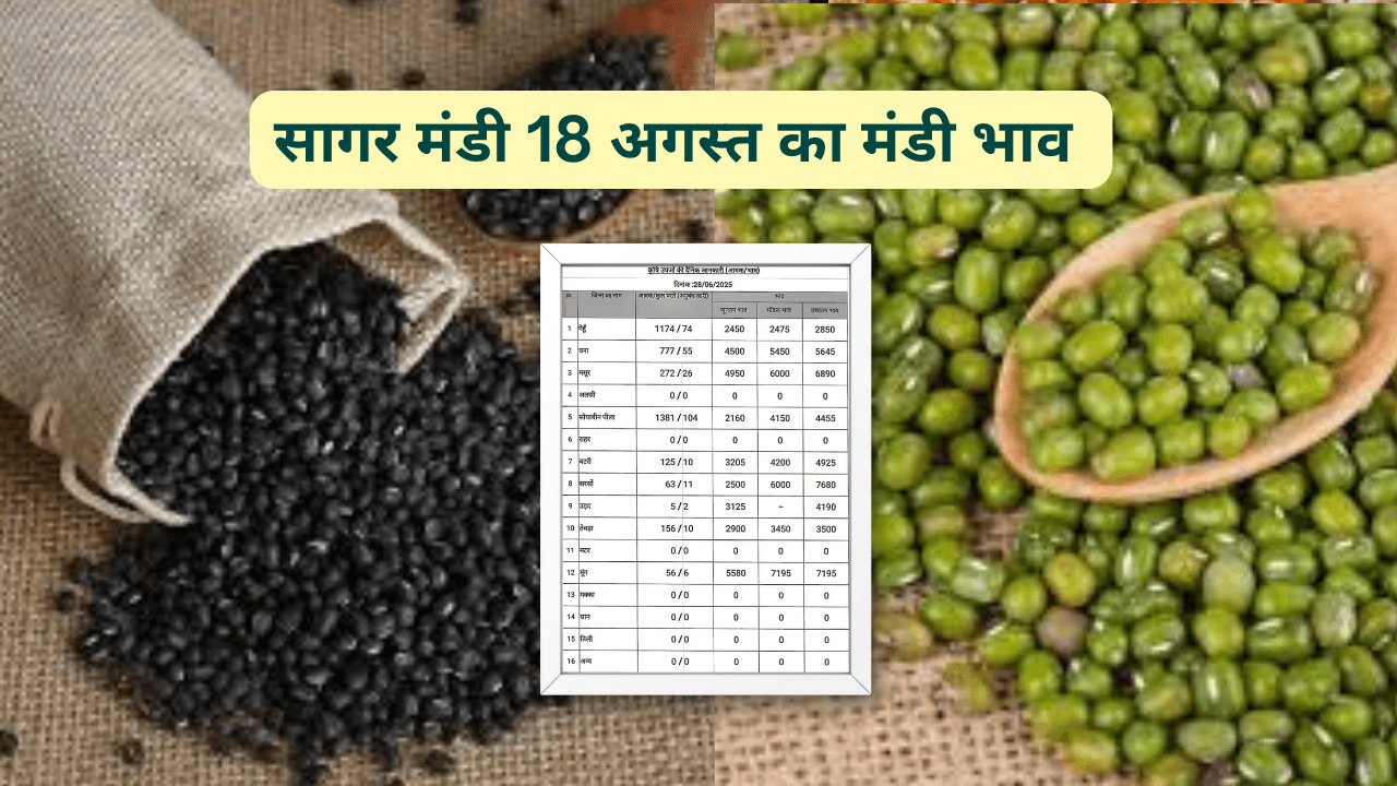 सागर मंडी