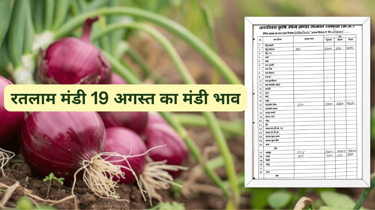 रतलाम मंडी