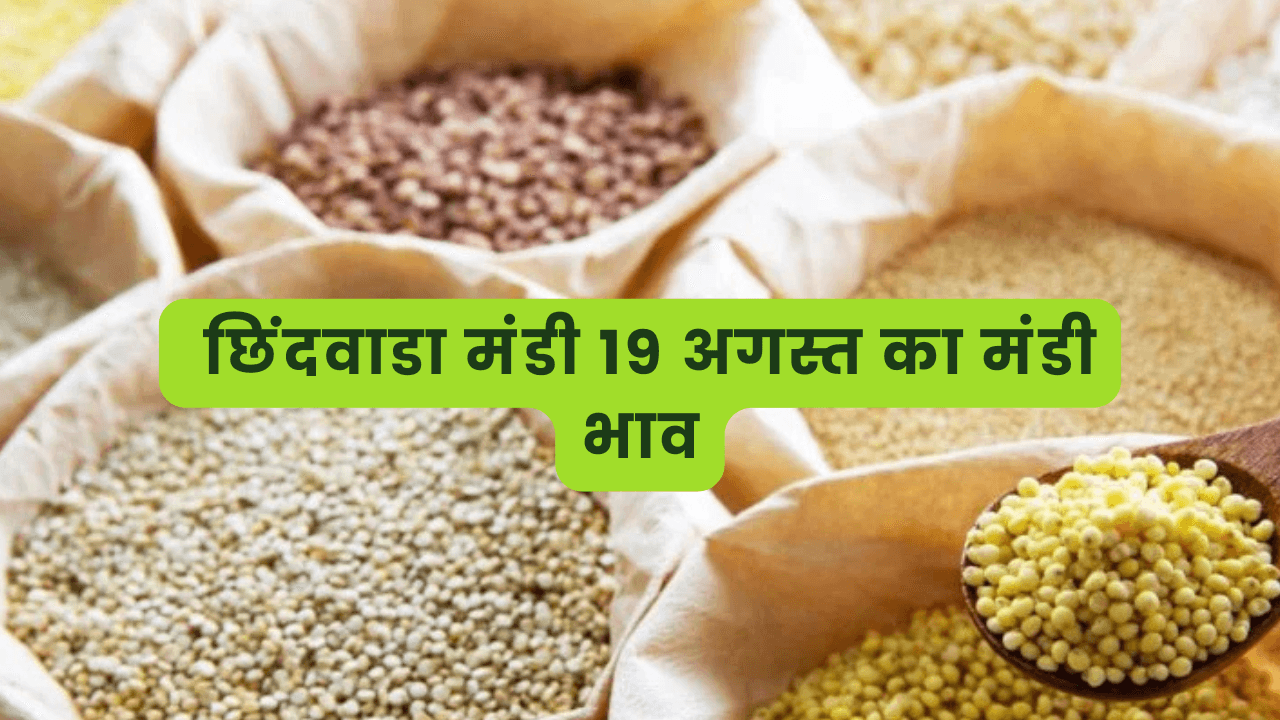 छिंदवाडा मंडी