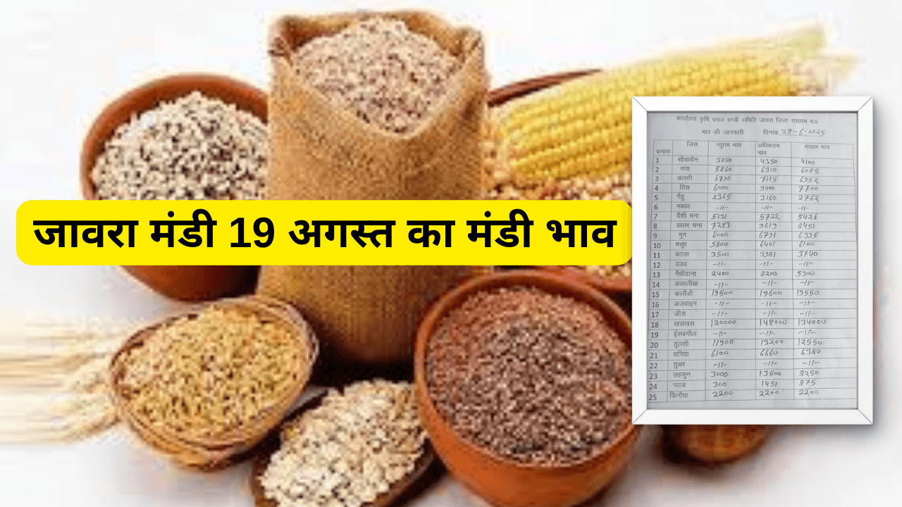 जावरा मंडी