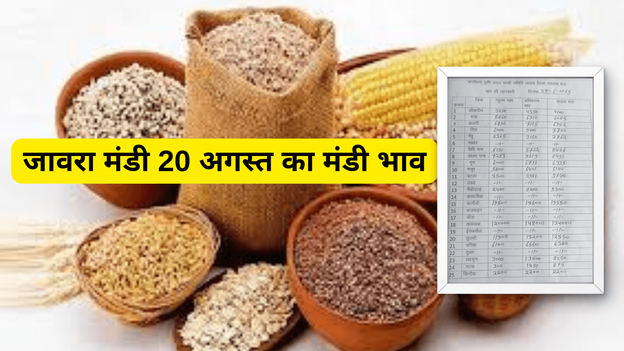 जावरा मंडी