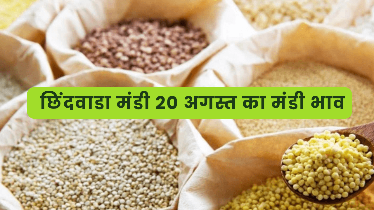 छिंदवाडा मंडी