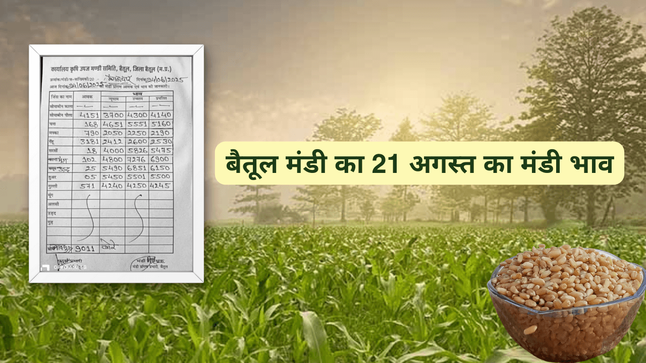 बैतूल मंडी