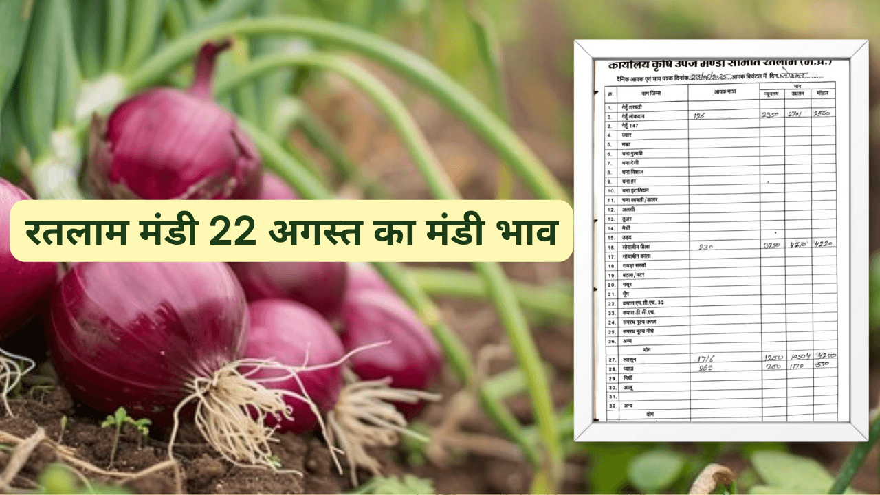 रतलाम मंडी