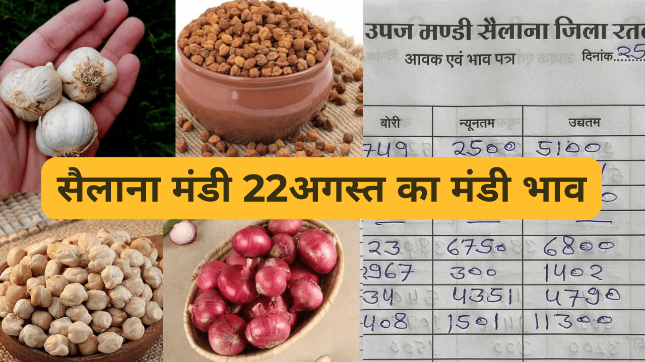 सैलाना मंडी