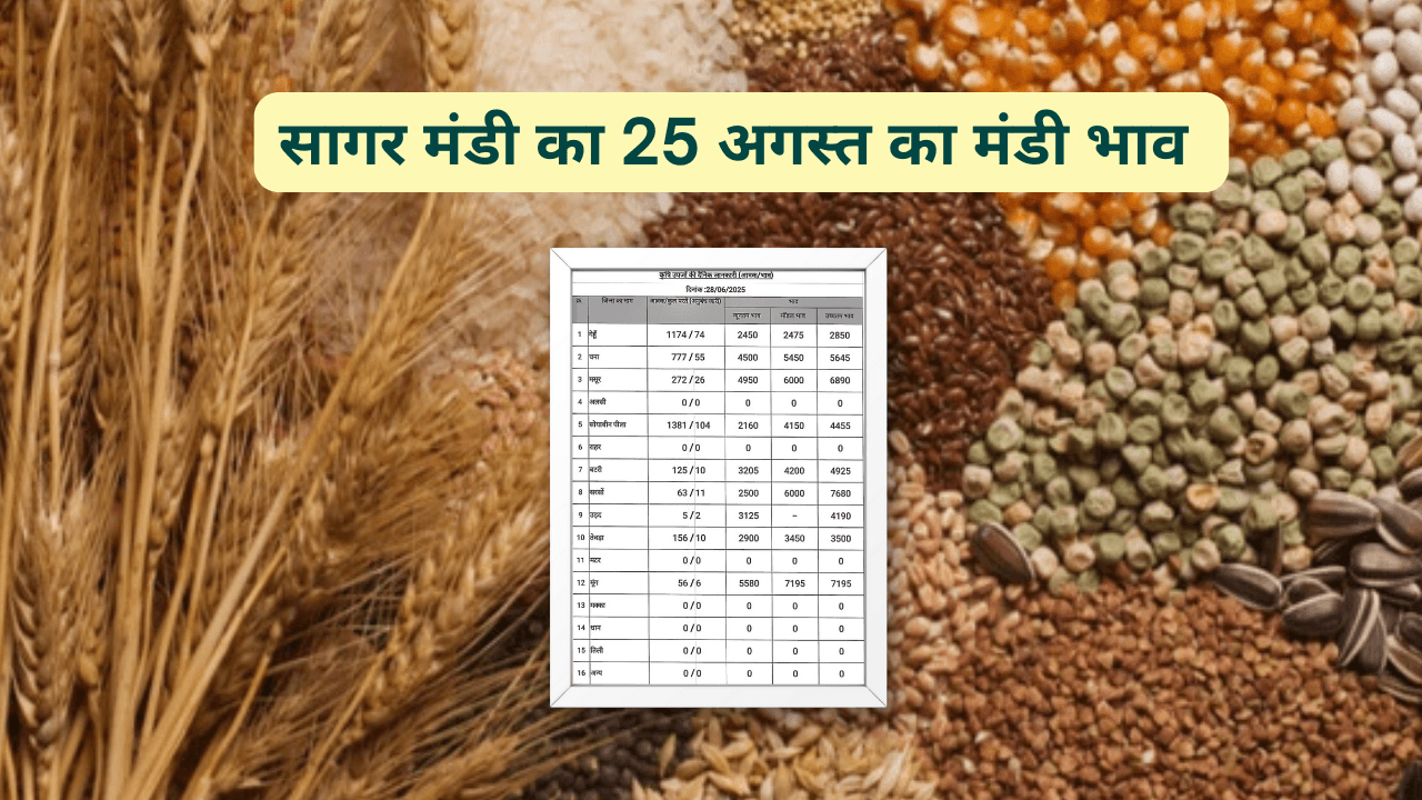 सागर मंडी