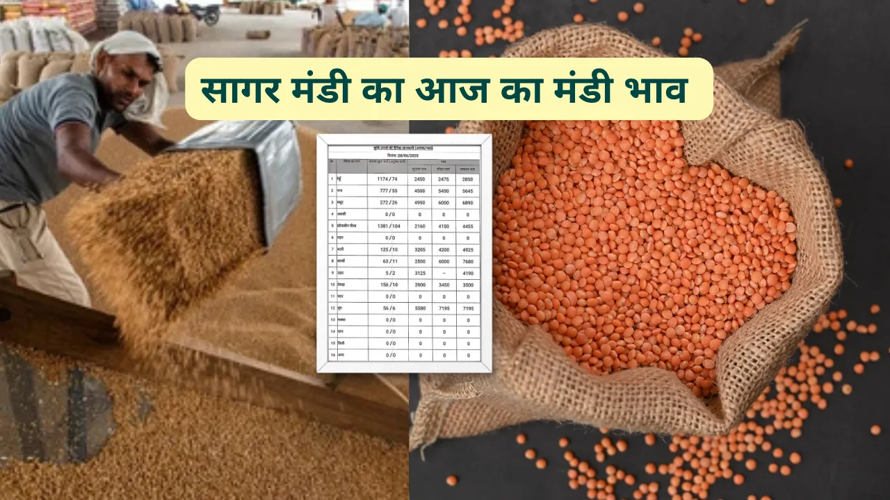 सागर मंडी