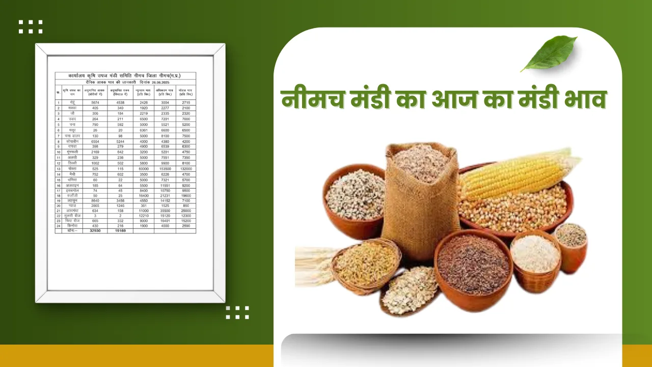 नीमच मंडी