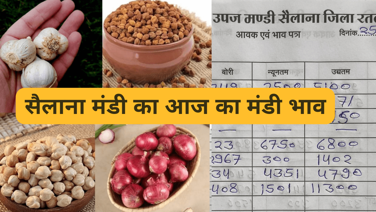 सैलाना मंडी