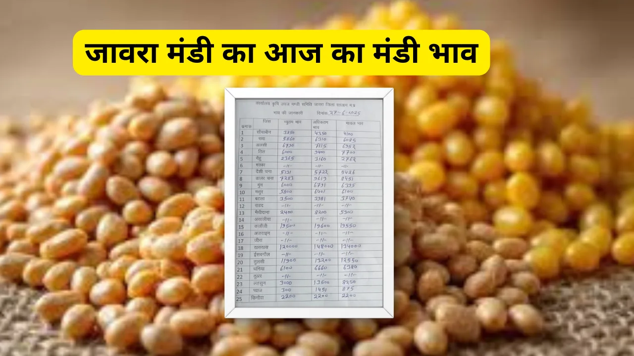 जावरा मंडी