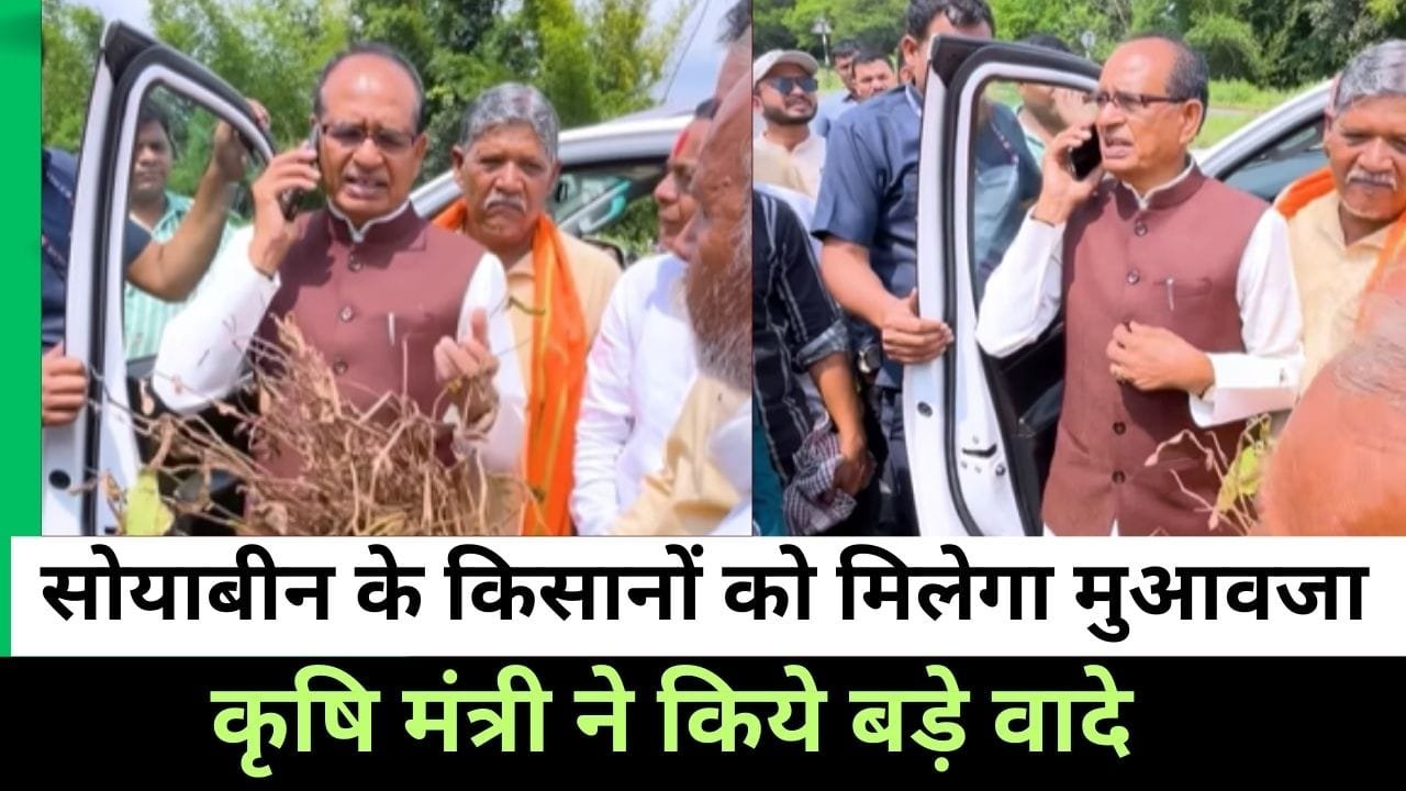 MP के सोयाबीन के किसानों के लिए कृषि मंत्री का वादा