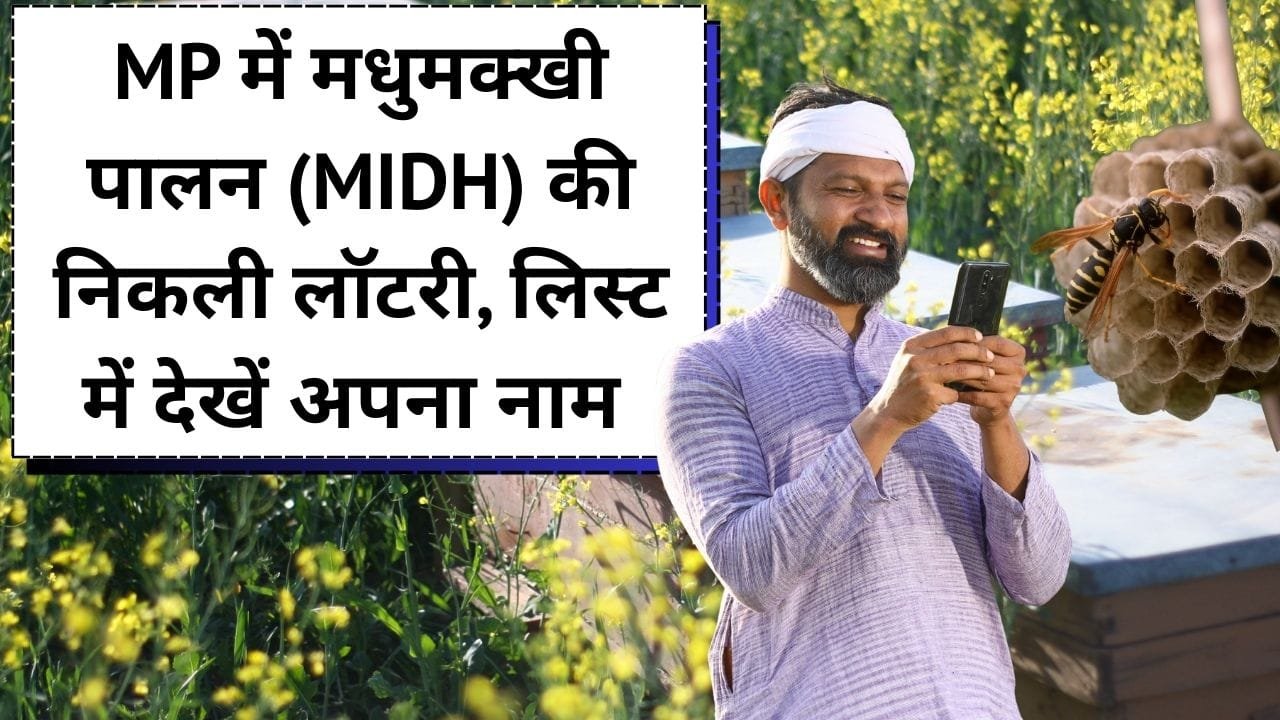 मधुमुखी का छत्ता, शहद निकालने का उपकरण, और मधुमक्खी के छत्तों की एक इकाई