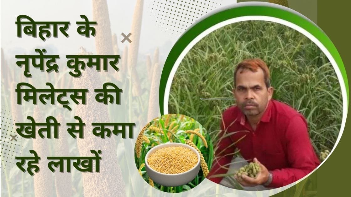 मिलेट्स फार्मिंग