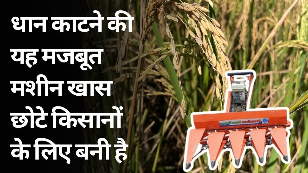 धान काटने के लिए सस्ती मशीन