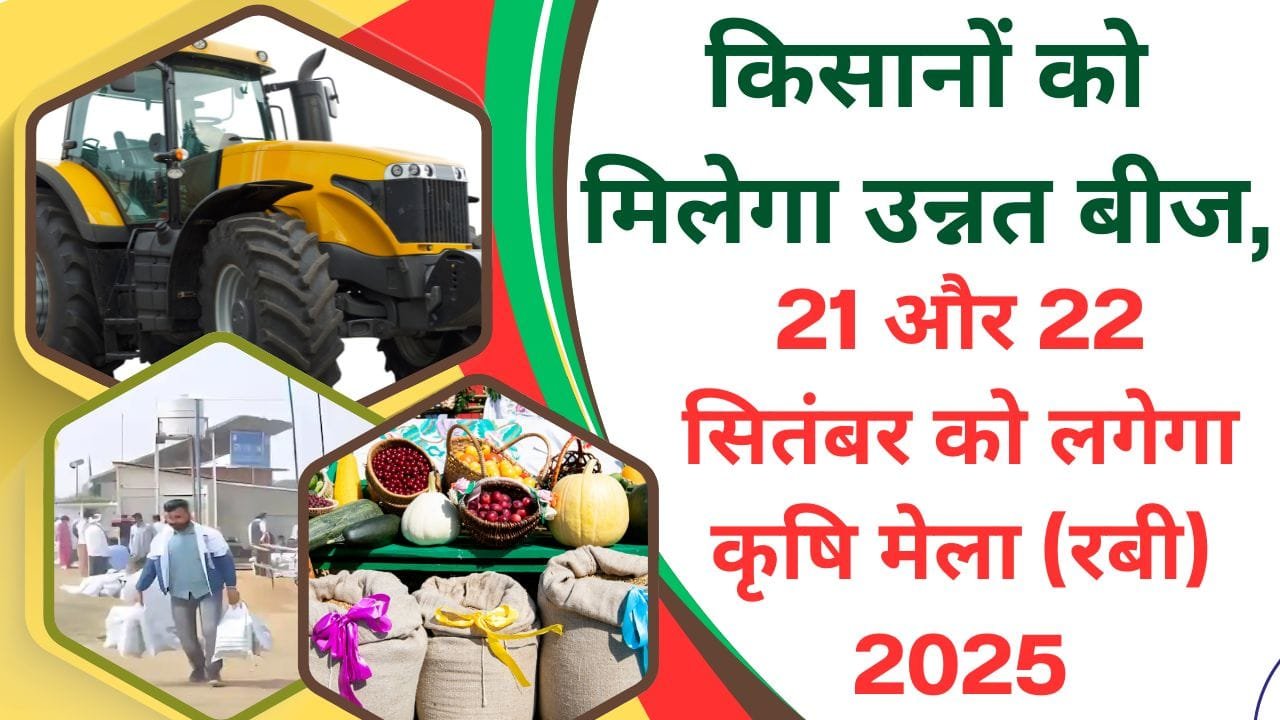 किसानों को मिलेंगे रबी फसलों के उन्नत बीज