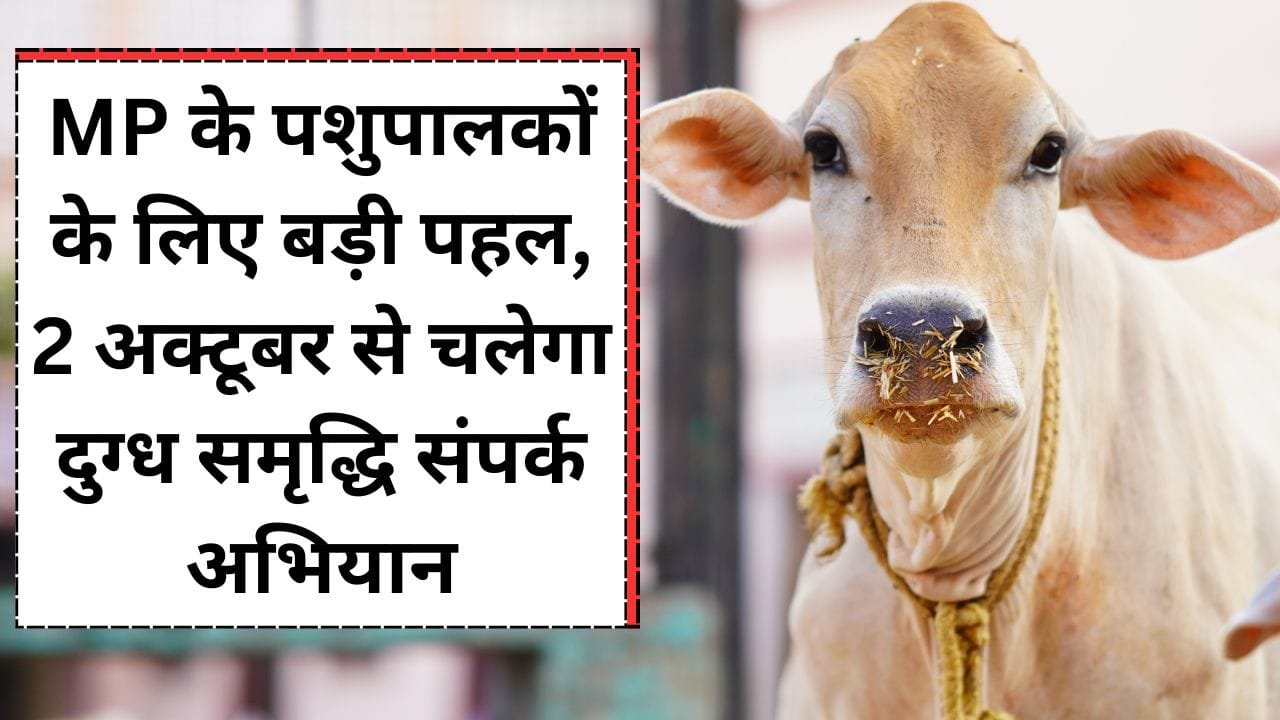 दुग्ध समृद्धि संपर्क अभियान