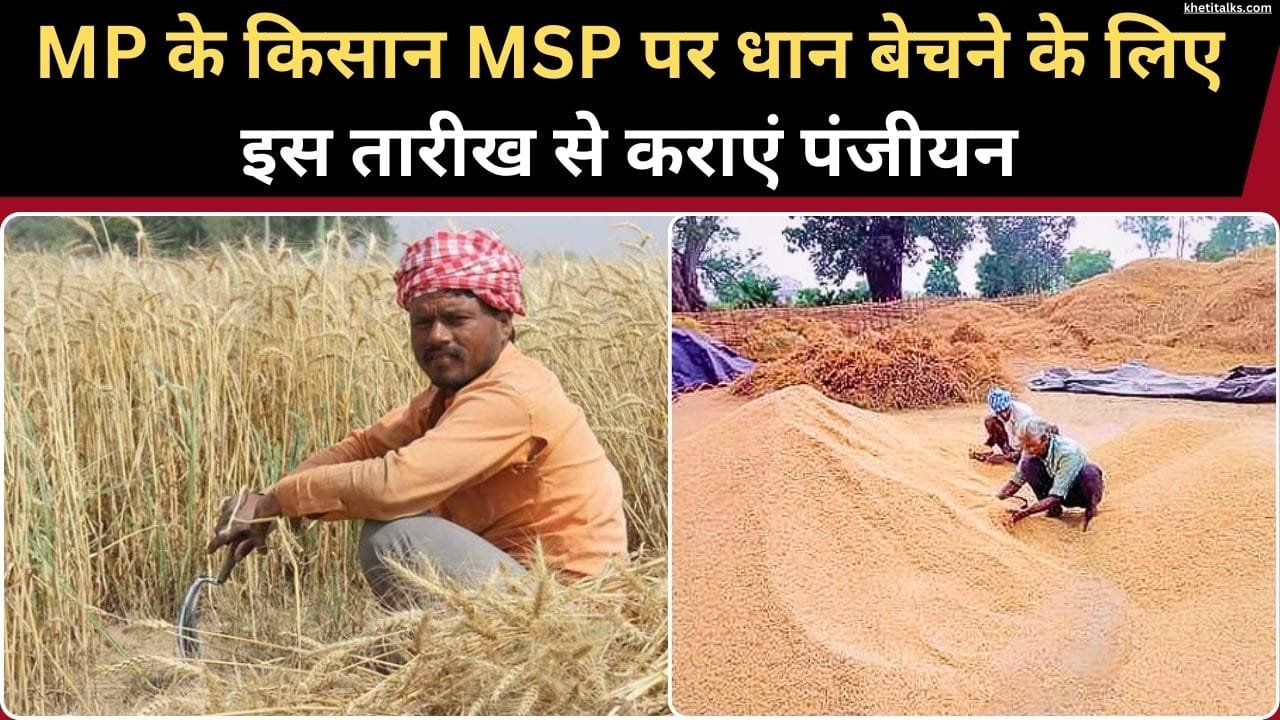 धान की बिक्री के लिए पंजीयन