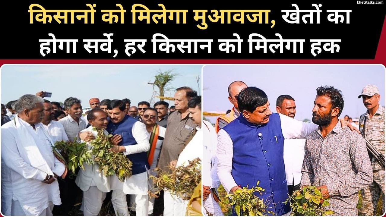 मुख्यमंत्री डॉ. मोहन यादव