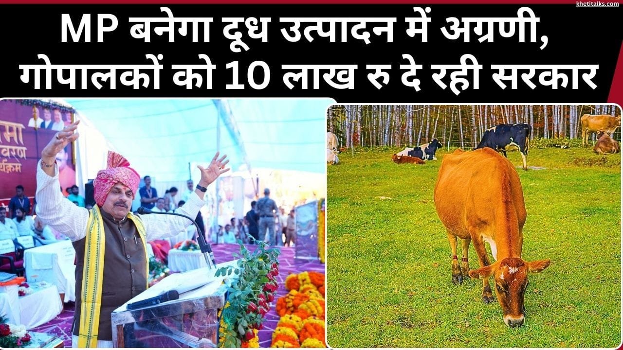 सेवा पखवाड़ा कार्यक्रम